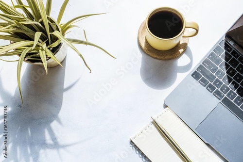 Desk with Green Plant Corner: Flat lay of a small green plant, notebook, coffee mug, and laptop with plenty of white space