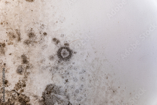 Close up shows dark spots and circles of mold growing on a painted white wall, indicating moisture and poor ventilation within the room