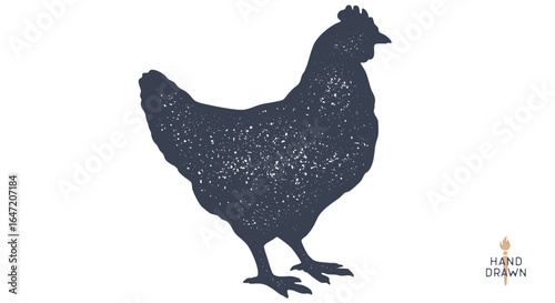 Chicken, farm hen sketch. Hand drawn. Vintage retro print hen, black drawing chicken, engrave old school style. Sketch artwork silhouette rooster, chicken, hen, white background. Vector Illustration