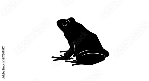Black frog silhouette