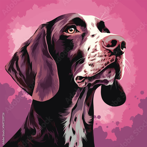 German shorthaired dog portrait. Vector illustration in pink background.