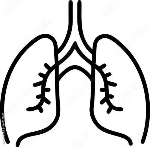 Anatomical illustration of the bronchi and trachea for respiratory health