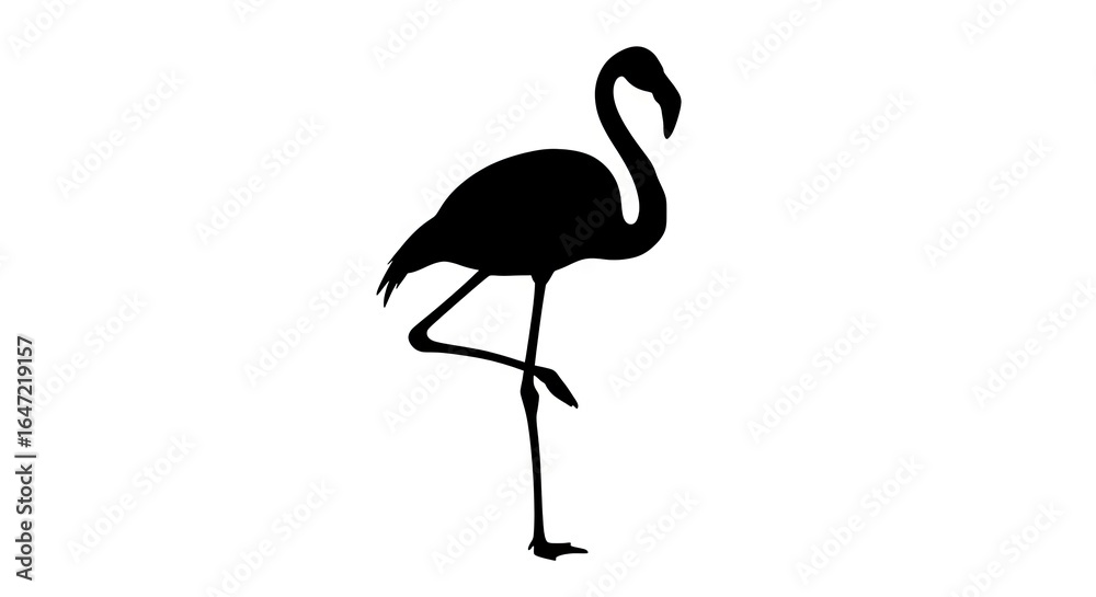 Obraz premium Flamingo silhouette