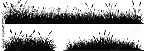 Grass silhouette vector set with wild plants, natural foliage, meadow grass elements, floral design, and black nature borders for landscape decoration