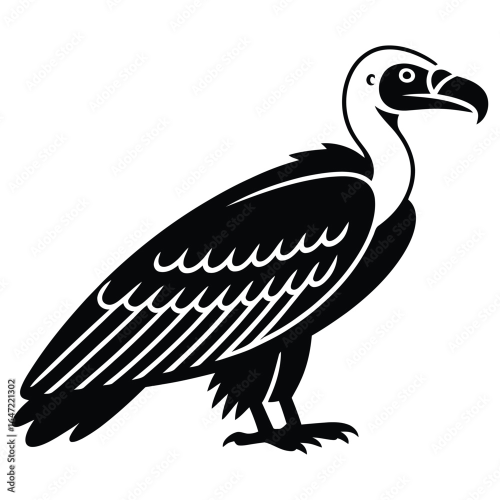 Obraz premium vulture