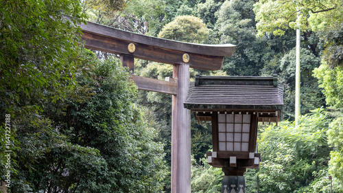 Photography Nature, Japan.