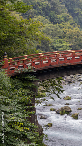Nature, Japan.