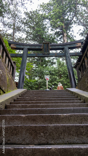 Nature, Japan.
