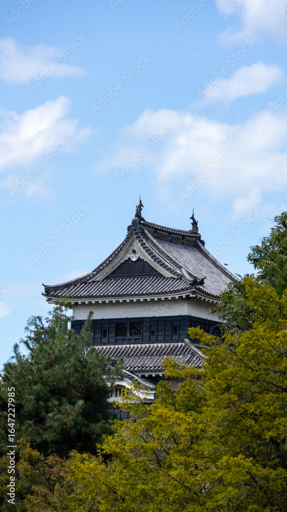 Fototapeta premium Japan