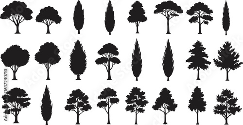 Tree silhouette bundle, vector tree shapes for landscape design, black forest elements, isolated natural trees for outdoor scene, garden and park visuals