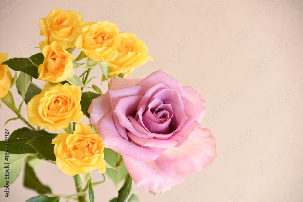 Obraz premium 黄色と紫のばら