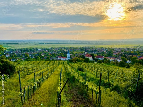 Quadro su tela A stunning sunset over the Tokaj vineyards, Hungary