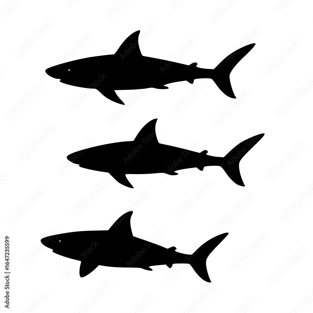 Fototapeta premium three tiger shark silhouette together