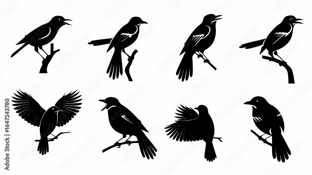Obraz premium Silhouette depictions of northern mockingbirds perched and in flight on branches in various poses