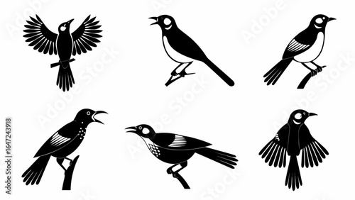 Illustration of six black and white birds in various poses perched on branches with wings spread wide open silhouette