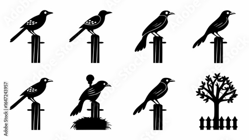 Silhouette illustration of birds perched on posts and a tree behind a fence in black and white style