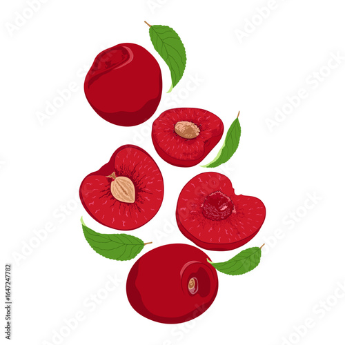 Fresh cherry whole and slices with leaves falling flying isolated on white background. Fruits collection.