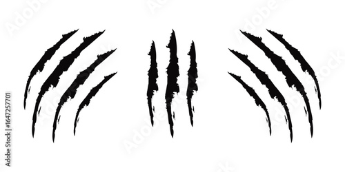 Animal Claw Scratch Marks Set – Beast, Tiger & Cat Paw Tear Vector Silhouettes.
