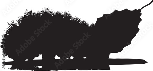 Cartoon camel and brown bear vector illustration design