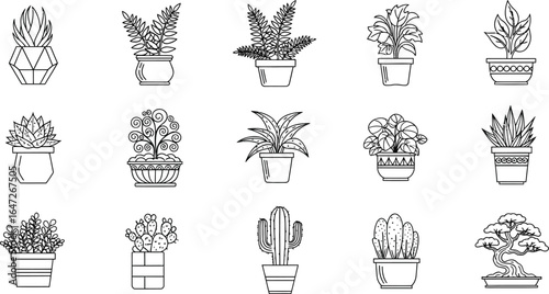 Collection of various potted houseplants, featuring a diverse range of botanical species in decorative containers, showcasing their unique foliage and forms