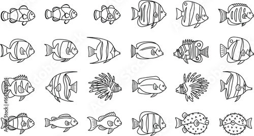 Hand drawn vector sketch of various fish species, including clownfish, angelfish, lionfish, and pufferfish, swimming in the sea or ocean
