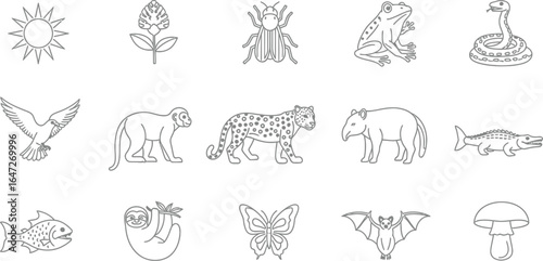 Food chain and food web diagram showing the flow of energy from producers to tertiary consumers vector line art illustration