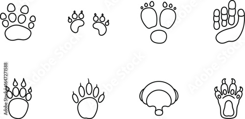 Animal footprints a collection of various animal paw prints, including bear, dog, cat, raccoon, wolf, fox, mouse, rat, rabbit, and squirrel