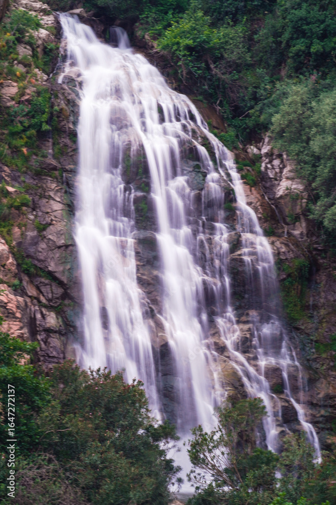 Waterfall falling from the rocks and trees around it in middle of forest and mountain in Jijel, Algeria, Africa, Beautiful waterfall for landscape, River waterfall, rain water and stream, water fall. Waterfall falling from the rocks and trees around it in middle of forest and mountain in Jijel, Algeria, Africa, Beautiful waterfall for landscape, River waterfall, rain water and stream, water fall.