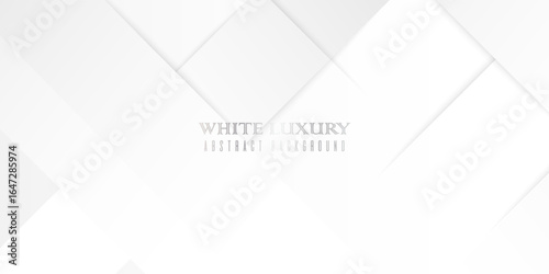 abstract gray white panoramic background. luxury clean and moder theme
