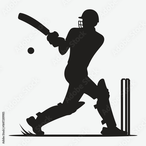 silhouette of a professional cricket player. cricketer icon
