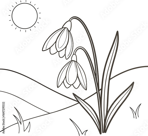 Vector illustration of a delicate white flower on a black background, a spring snowdrop blossom