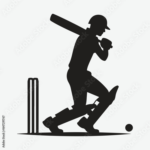 silhouette of a professional cricket player