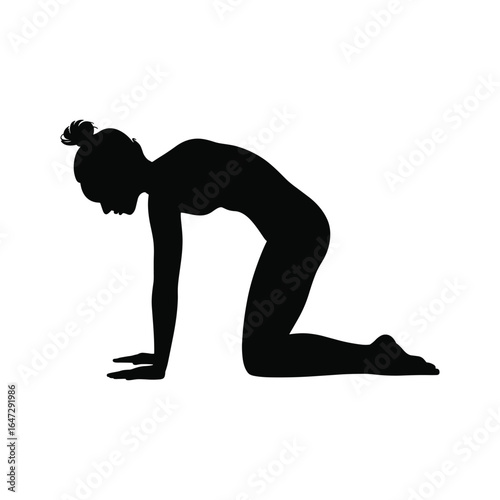 Silhouette of a person in a yoga cat pose on a white background