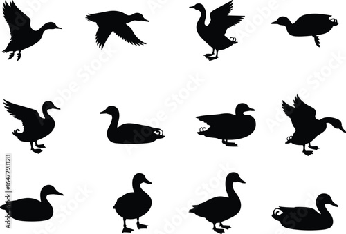 Black duck silhouette vector set, flying duck poses, standing duck shapes, swimming duck icons, wildlife bird illustration, animal posture collection