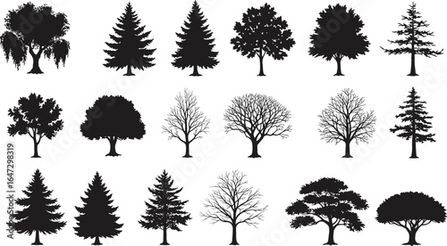 Tree silhouette vector bundle, coniferous and deciduous trees, isolated black shapes for nature design, landscape, forest scene, or seasonal illustration art