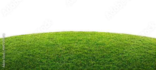 Photos green grass field isolated on transparent background