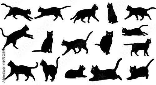 cats silhouettes vector