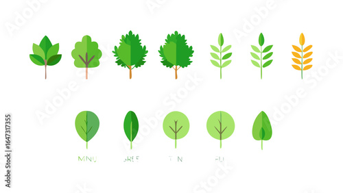 Various stages of plant growth, from seedling to mature tree.
