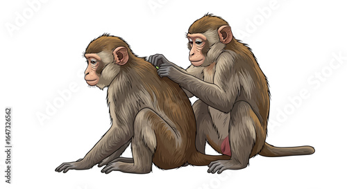 two monkeys grooming each other illustrating teamwork collaboration and social bonds in primate behavior for educational resources childrens books and animal welfare campaigns