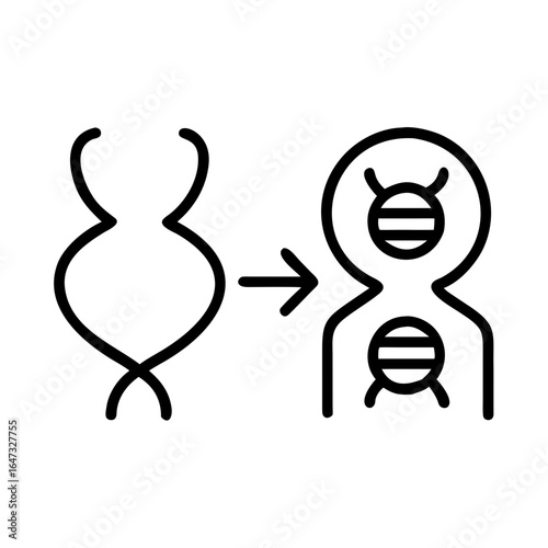 DNA replication, a process of cell division.
