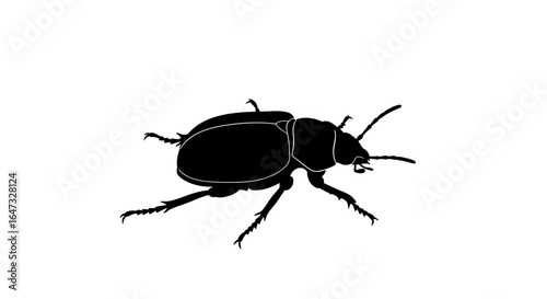 striking black beetle silhouette perfect for entomology nature and design projects needing a bold graphic insect illustration