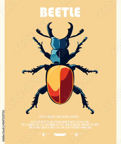 Vector illustration of a poster beetle, minimalistic design. The image features a bold, colorful beetle with a vibrant red and blue body against a light beige background.