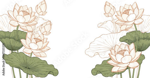 Create a kinds of deferent lotus flower, floral, vector, pattern, illustration, nature, art, drawing, decoration, flowers, design, vintage, leaf, rose vector art with white background.