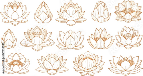 Create a kinds of deferent lotus  floral, ornament, decoration, illustration, flower, art, border, set, frame, vector art with white background.