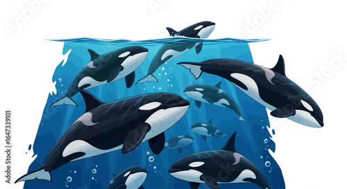majestic orca pod ocean wildlife underwater scene nature photography for marine conservation educational projects and aquaticthemed designs