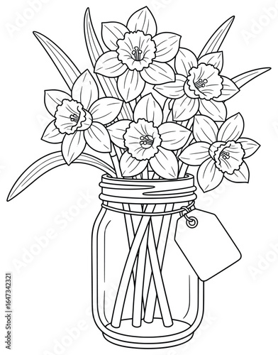 Elegant bouquet of daffodil flowers arranged in a glass jar with a blank tag, illustrated in detailed line art style. Perfect for coloring books, greeting cards, floral decor, and creative designs