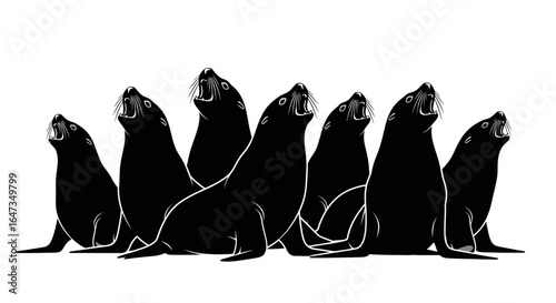 powerful group of sea lions bold black and white silhouette for wildlife nature and team unity designs