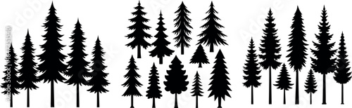 Vintage Forest Pine Trees with Soil Silhouettes – Vector Illustration of Different Types of Evergreen Trees