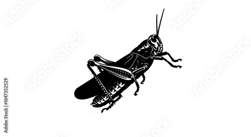 powerful black and white grasshopper silhouette perfect for nature ecology or entomology designs branding and illustrations