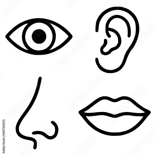 Black and white icon set depicting human senses. Includes a stylized eye, ear, nose, and lips. Each symbol is outlined in a bold, smooth line. The eye is almond-shaped with a central pupil. The ear is